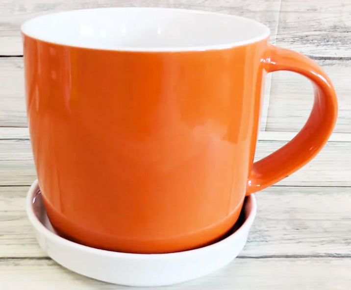 mini-Untertasse-aus-Porzellan-untersetzer